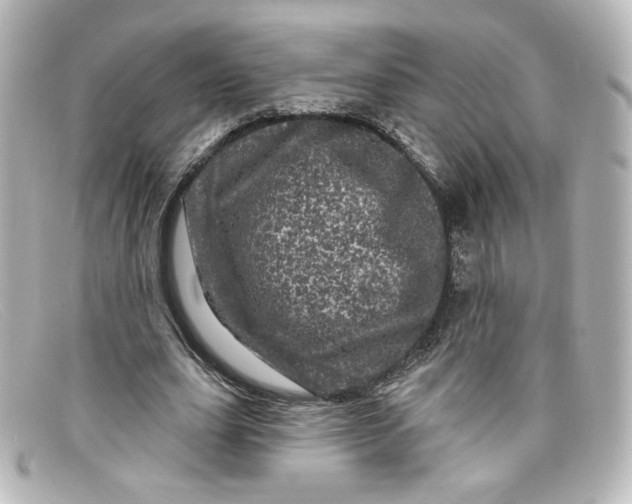 X0000098150631200805081042