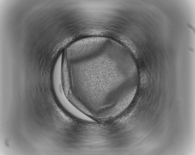 X0000098150633200805081042