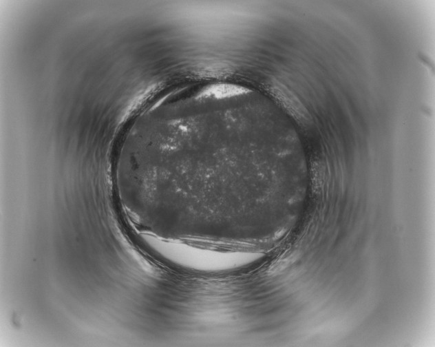 X0000098150634200805081042