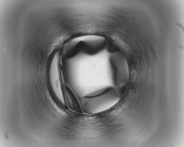 X0000098150638200805081043