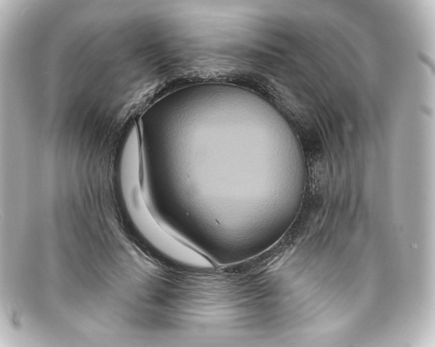X0000098150644200805081043