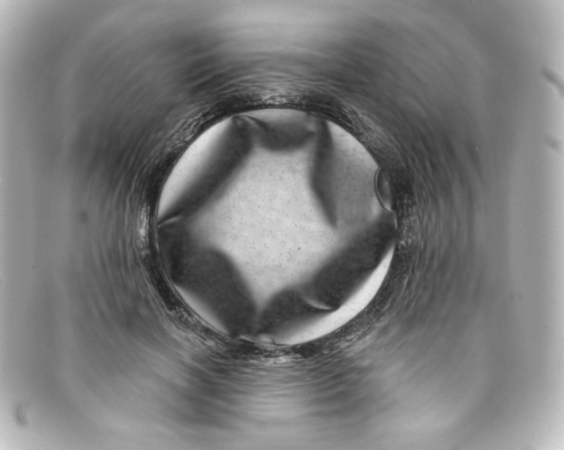X0000098150646200805081043