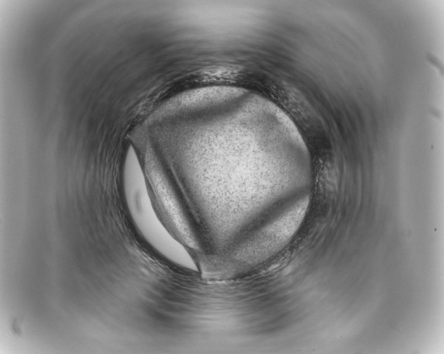 X0000098150649200805081043