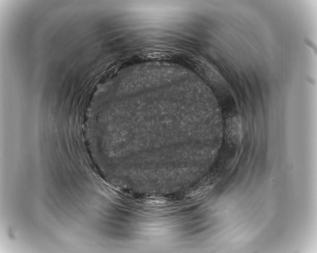 X0000098150653200805081043