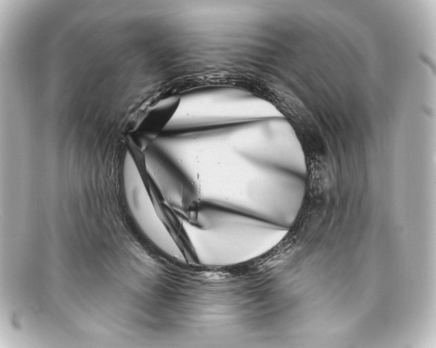 X0000098150654200805081043