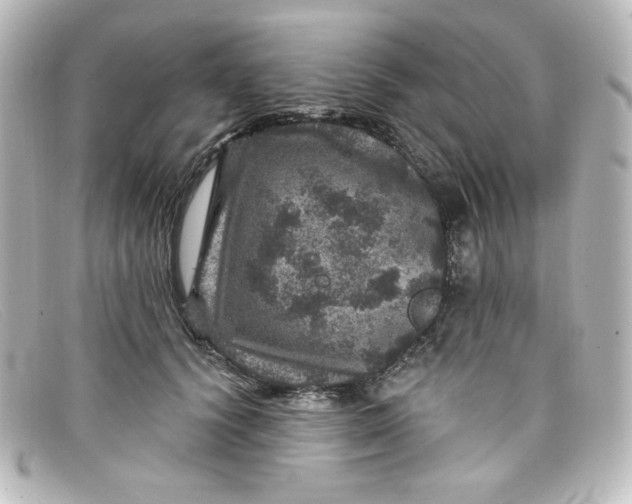 X0000098150656200805081043