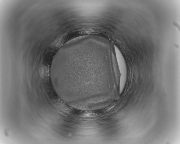X0000098150657200805081043
