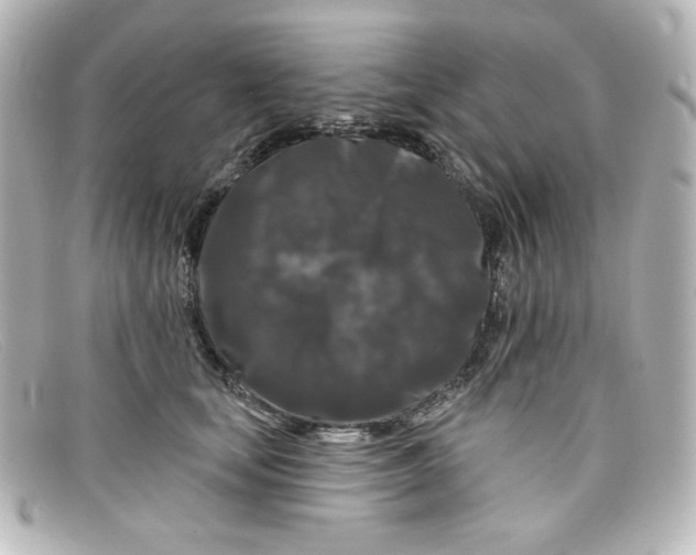 X0000098150659200805081043