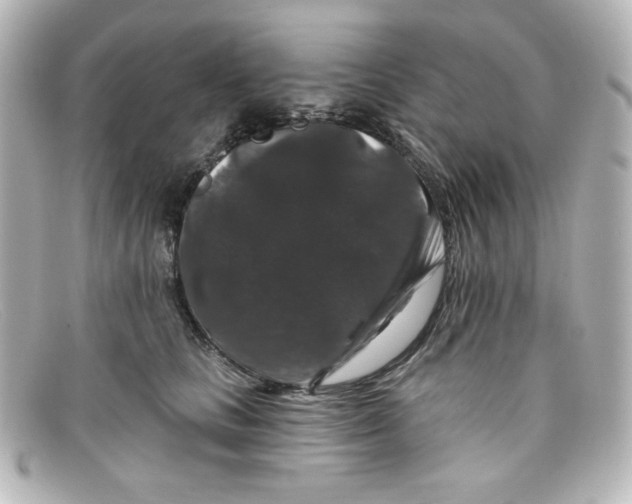 X0000098150661200805081043