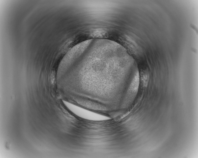 X0000098150665200805081043