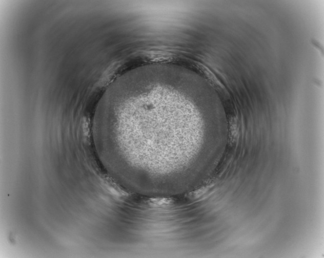 X0000098150667200805081043