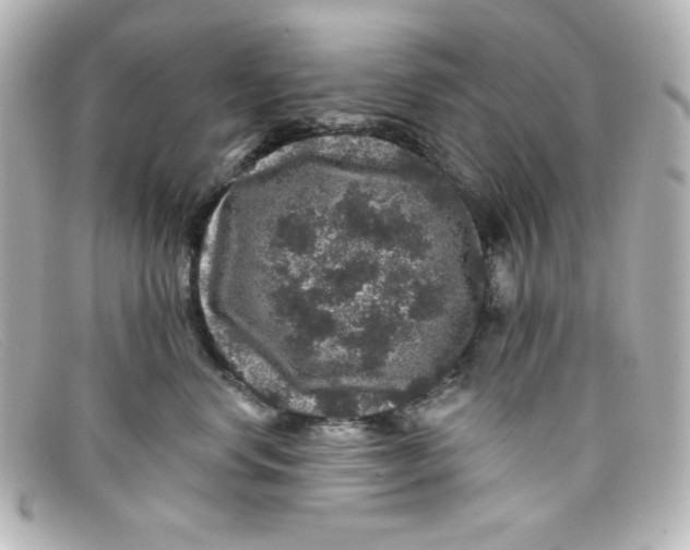 X0000098150668200805081043