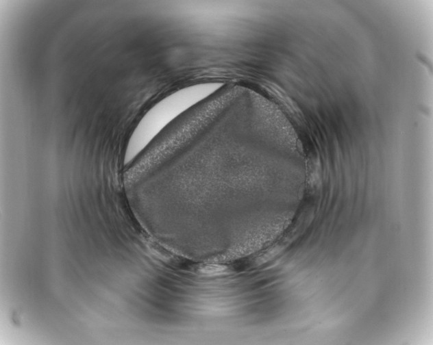 X0000098150669200805081043
