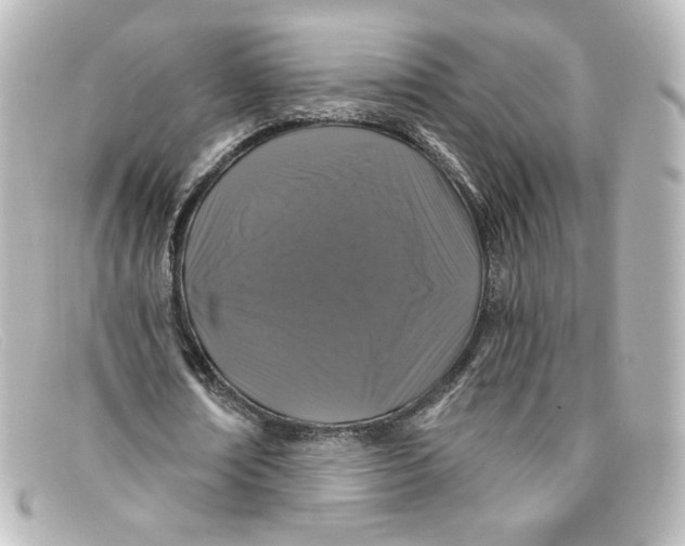 X0000098150674200805081042