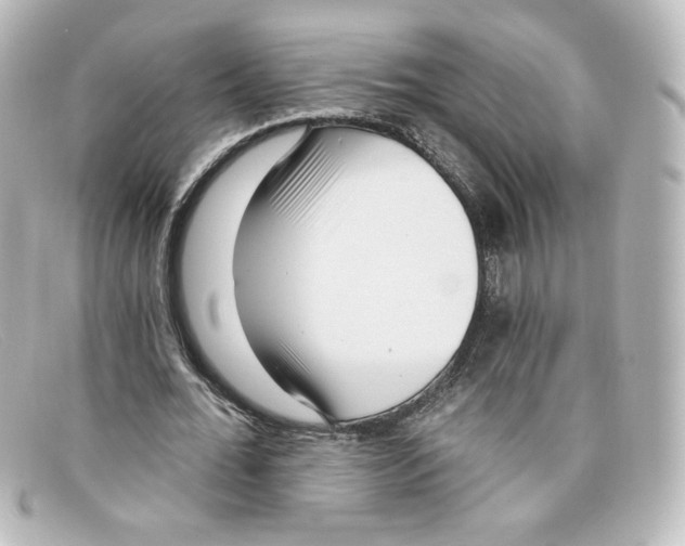 X0000098150676200805081042