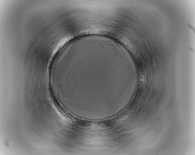 X0000098150678200805081042