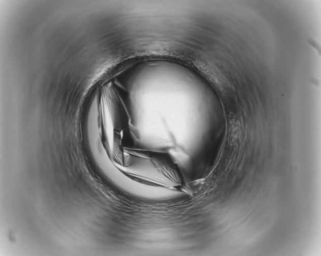 X0000098150680200805081042