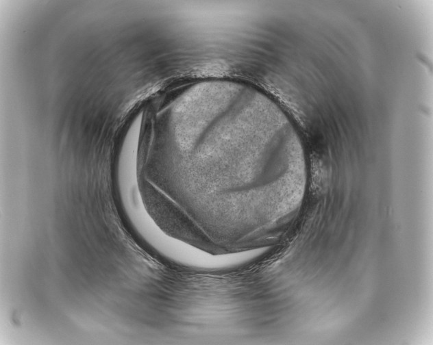 X0000098150681200805081042