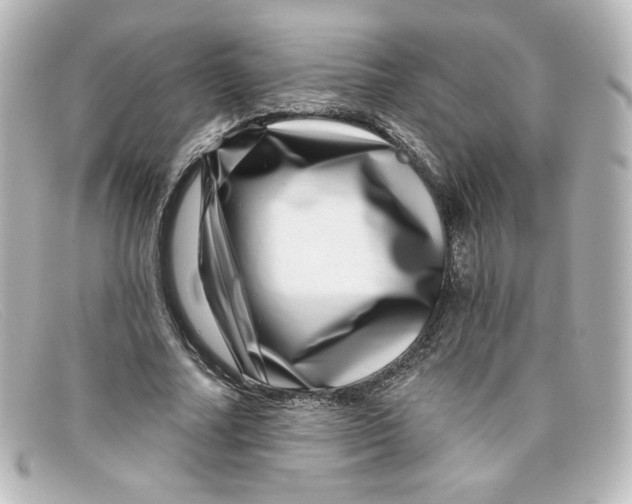 X0000098150682200805081042