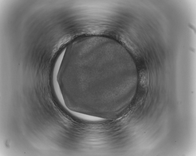 X0000098150685200805081042