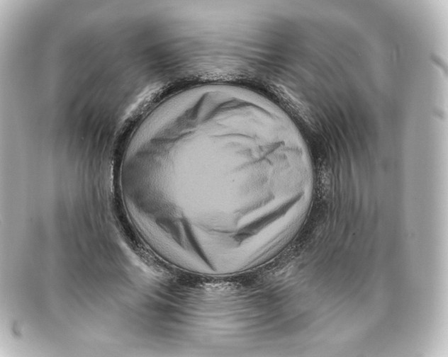X0000098150686200805081042