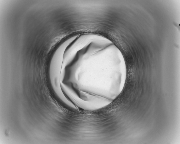 X0000098150688200805081042