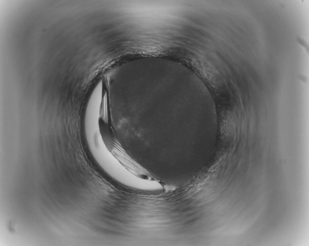 X0000098150689200805081042