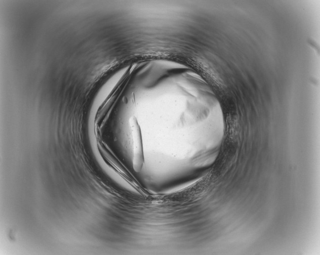 X0000098150692200805081042