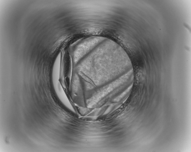 X0000098150693200805081042