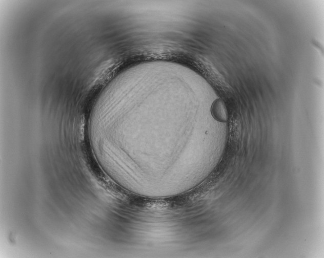X0000098150694200805081042