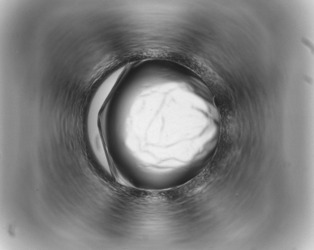 X0000098150696200805081042
