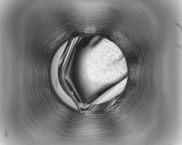 X0000098150697200805081042