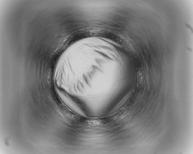 X0000098150698200805081042