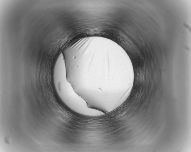 X0000098150700200805081042