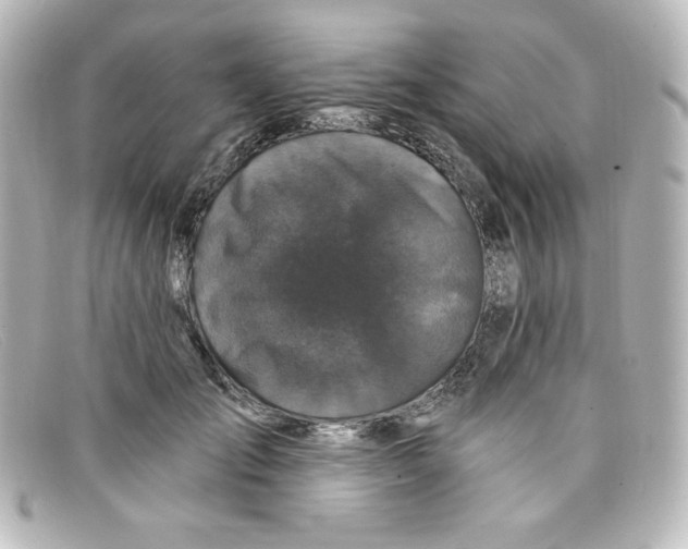 X0000098150701200805081042