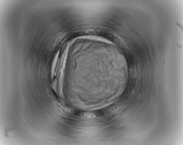 X0000098150702200805081042