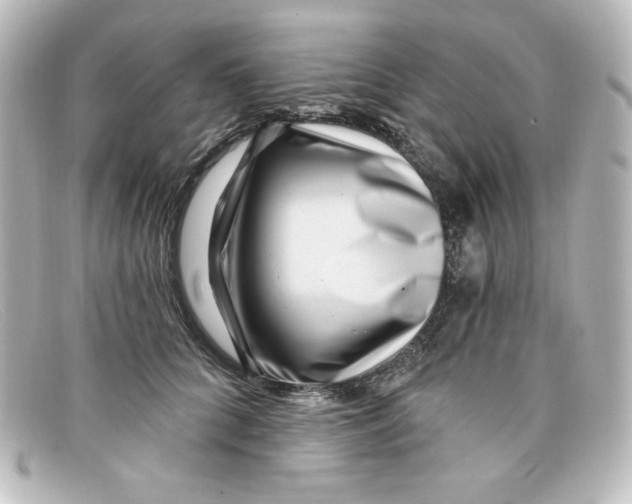 X0000098150704200805081042