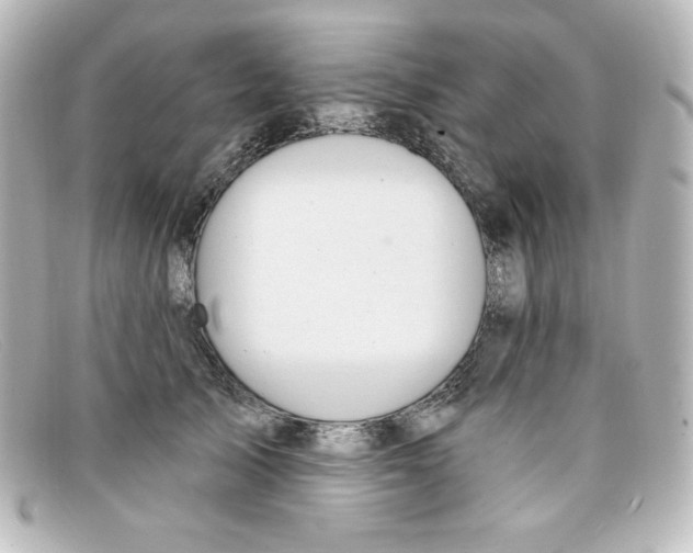 X0000098150705200805081042