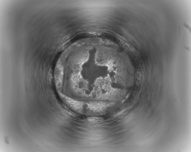 X0000098150707200805081042