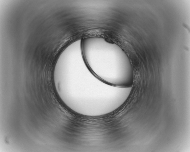 X0000098150708200805081042