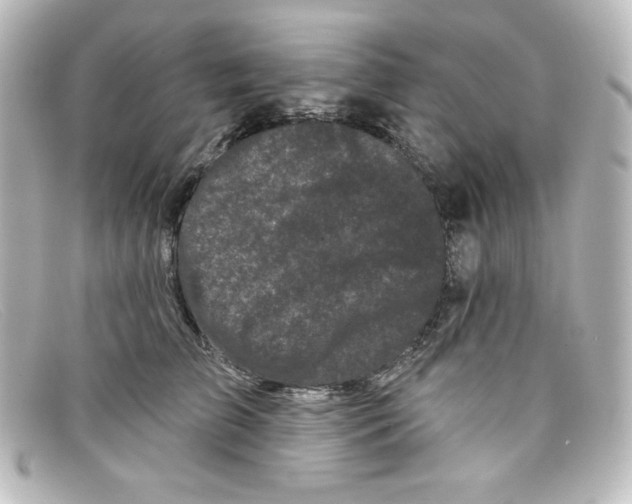 X0000098150709200805081042