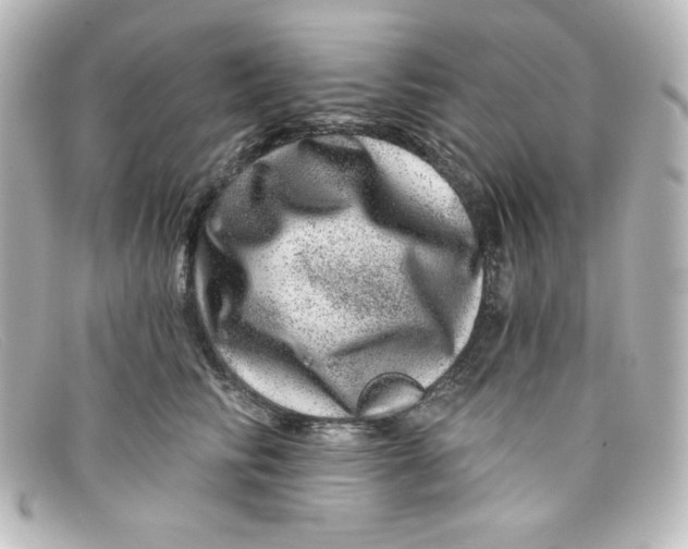 X0000098150710200805081042