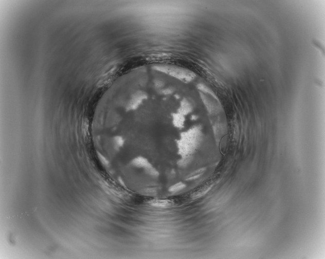 X0000098150711200805081042