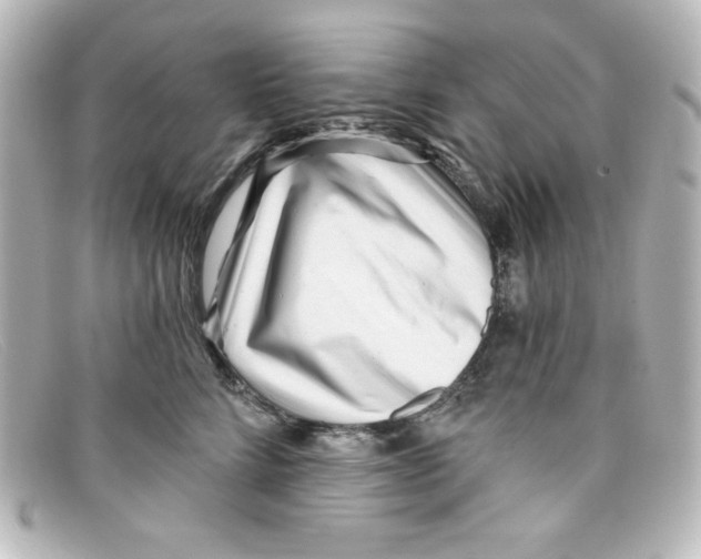 X0000098150712200805081042