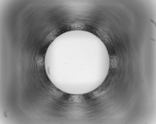 X0000098150713200805081042