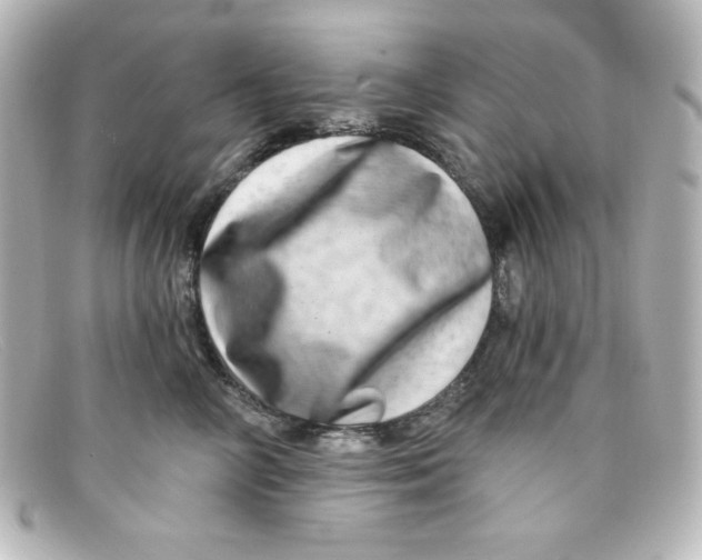 X0000098150714200805081042