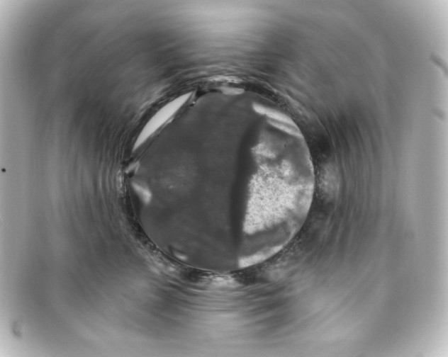 X0000098150715200805081042