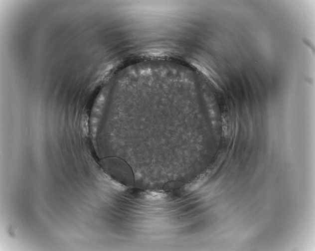 X0000098150718200805081042