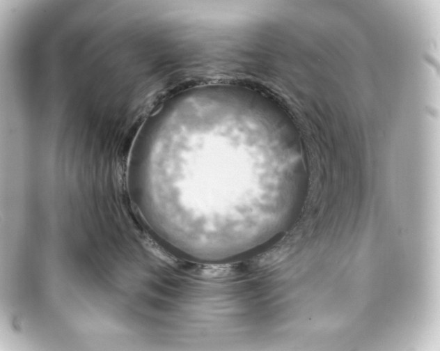X0000098150720200805081042