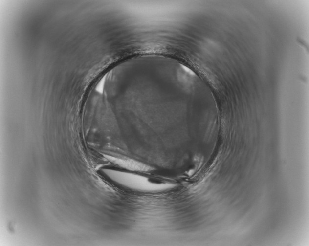 X0000098150721200805081041